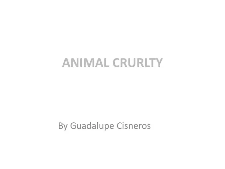 animal crurlty