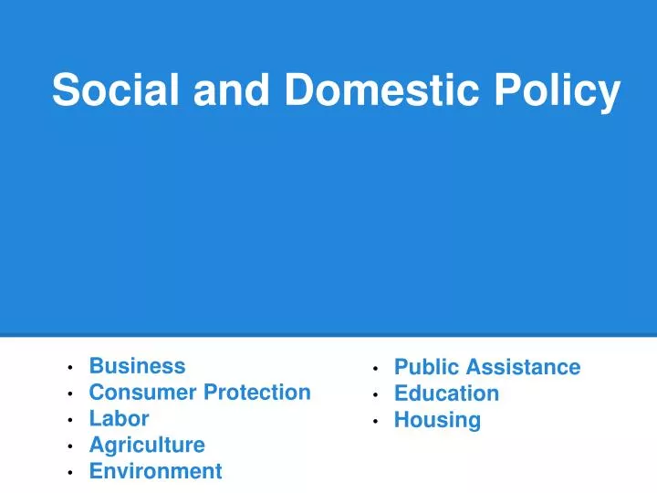 social and domestic policy