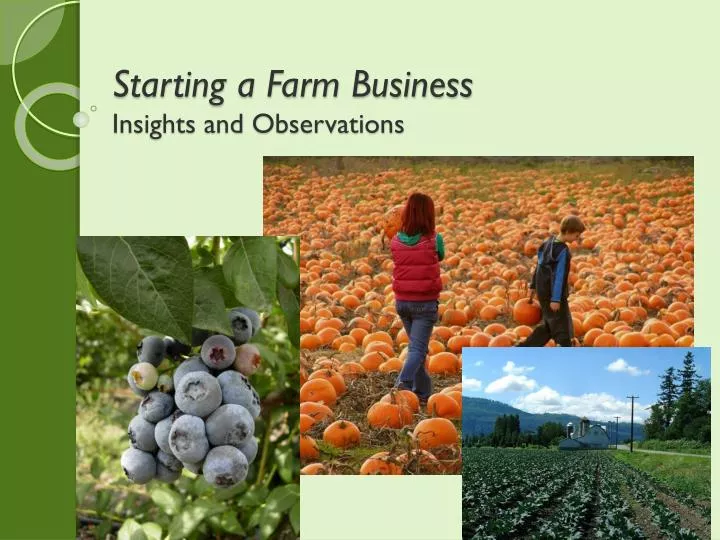 starting a farm business insights and observations