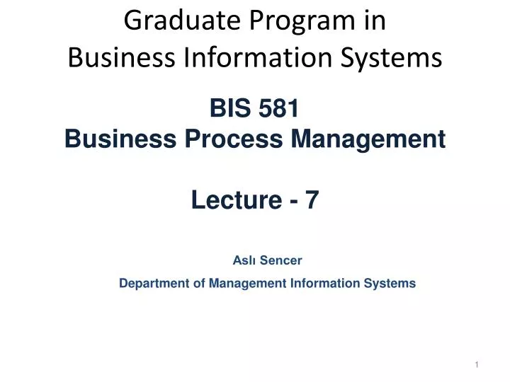 graduate program in business information systems