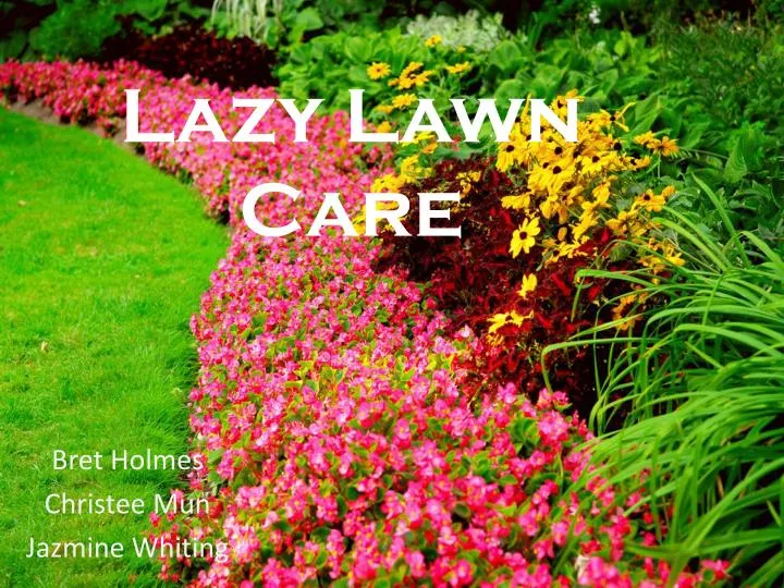 lazy lawn care