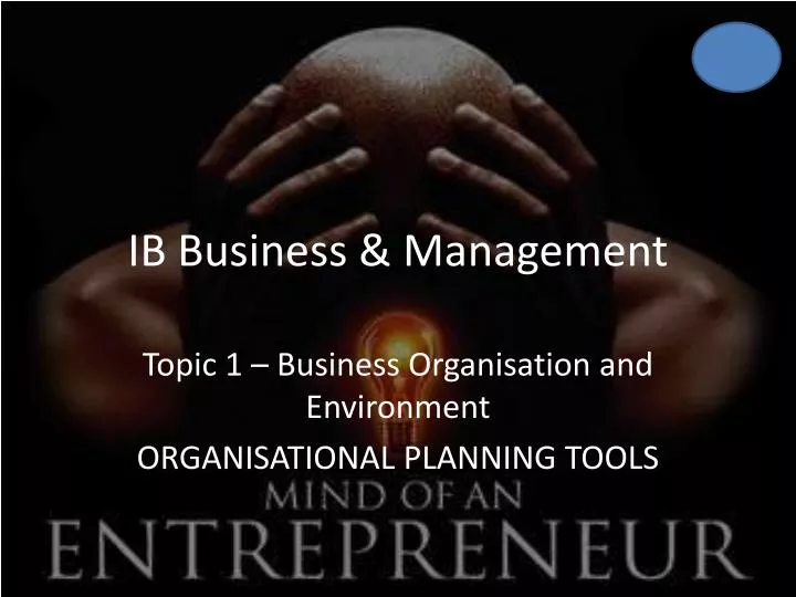 ib business management