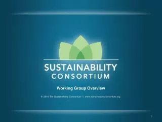 Working Group Overview