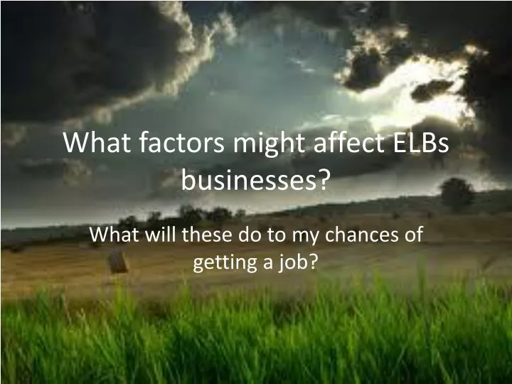 what factors might affect elbs businesses