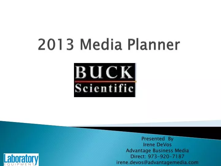2013 media planner