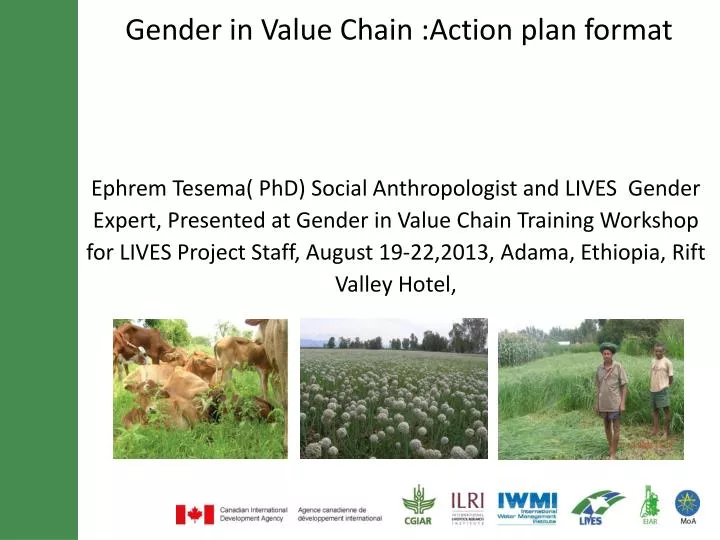 gender in value chain action plan format