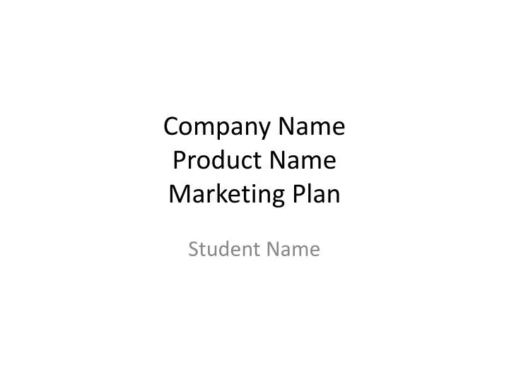 company name product name marketing plan