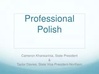 Professional Polish