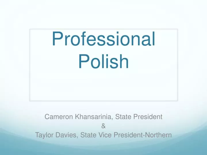 professional polish