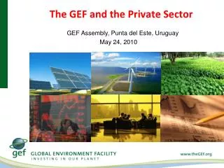 The GEF and the Private Sector