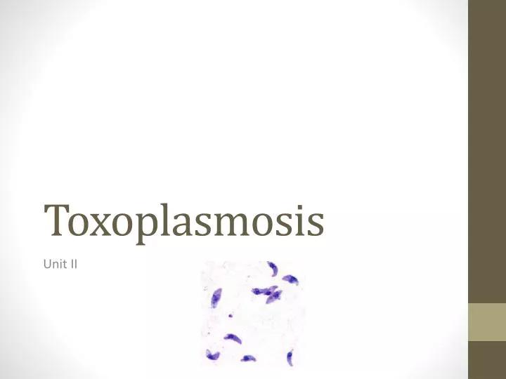 toxoplasmosis