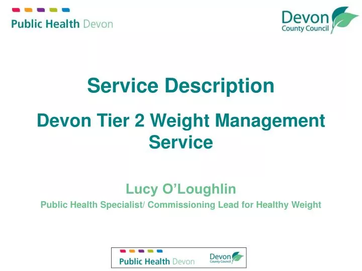 service description devon tier 2 weight management service
