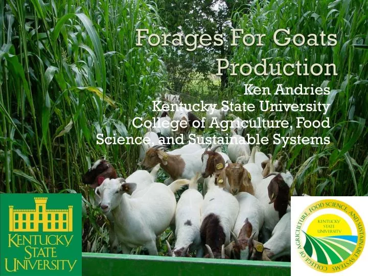 forages for goats production