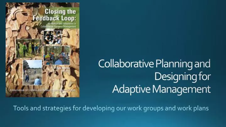 tools and strategies for developing our work groups and work plans