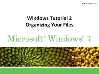 Windows Tutorial 2 Organizing Your Files