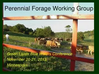 Perennial Forage Working Group