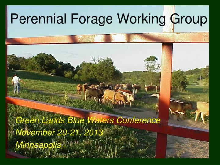 perennial forage working group