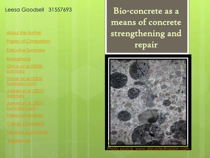 bio concrete as a means of concrete strengthening and repair