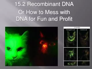 15.2 Recombinant DNA Or How to Mess with DNA for Fun and Profit