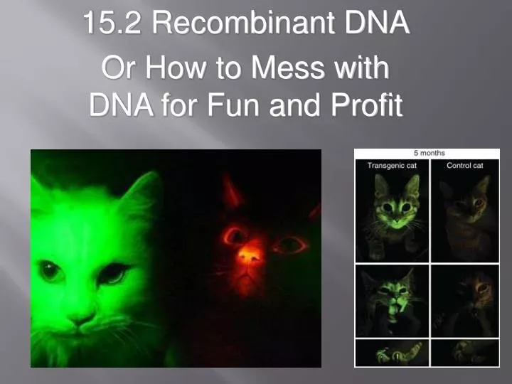 15 2 recombinant dna or how to mess with dna for fun and profit