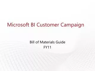 Microsoft BI Customer Campaign