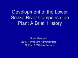 Development of the Lower Snake River Compensation Plan: A Brief History