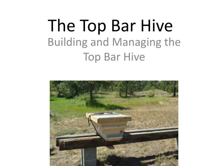 the top bar hive