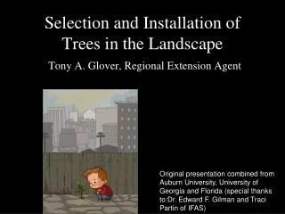 Selection and Installation of Trees in the Landscape