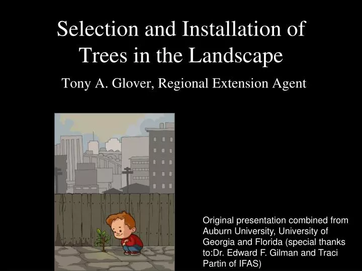 selection and installation of trees in the landscape