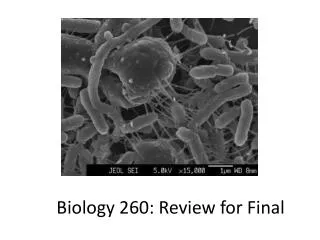Biology 260: Review for Final