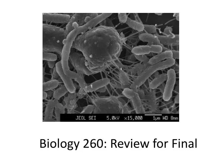 biology 260 review for final
