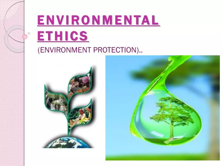 environmental ethics