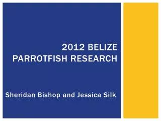 2012 Belize Parrotfish research
