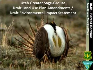 Utah Greater Sage-Grouse Draft Land Use Plan Amendments / Draft Environmental Impact Statement