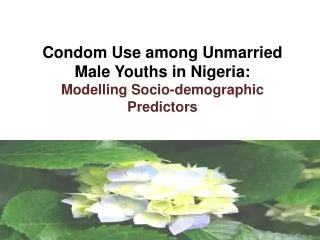 Condom Use among Unmarried Male Youths in Nigeria: Modelling Socio-demographic Predictors