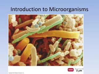 Introduction to Microorganisms