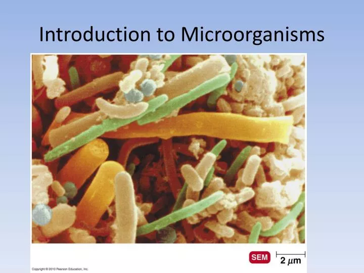 introduction to microorganisms