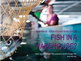 CHAPTER 16 FISHERIES AND AGRICULTUIRE FISH IN A WAREHOUSE?