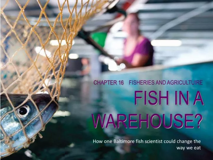 chapter 16 fisheries and agricultuire fish in a warehouse