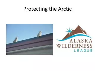 Protecting the Arctic