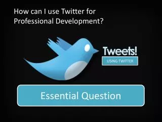 How can twitter support individuals in their professionally role?
