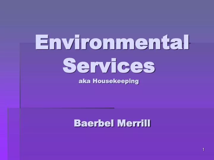 environmental services aka housekeeping baerbel merrill