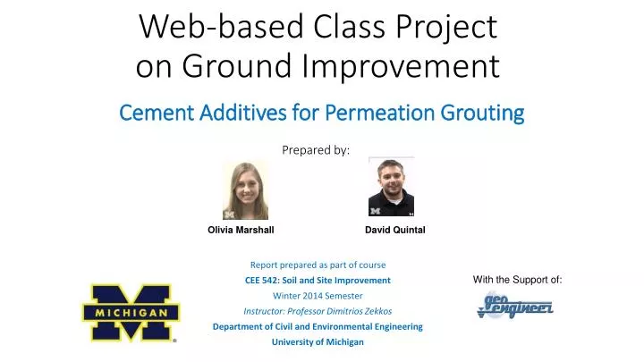 web based class project on ground improvement