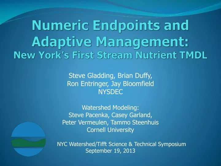 numeric endpoints and adaptive management new york s first stream nutrient tmdl