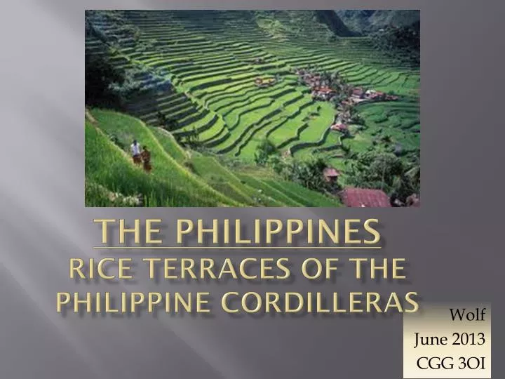 the philippines rice terraces of the philippine cordilleras