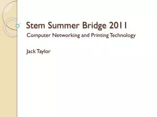 Stem Summer Bridge 2011