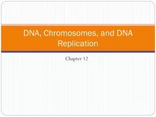DNA, Chromosomes, and DNA Replication