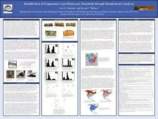 Identification of Fragmentary Late Pleistocene Musteloids through Morphometric Analyses