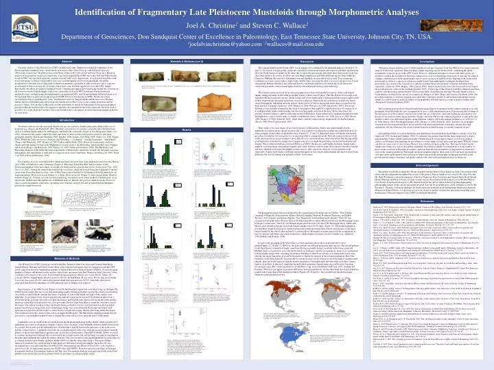 identification of fragmentary late pleistocene musteloids through morphometric analyses