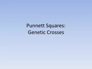 Punnett Squares: Genetic Crosses